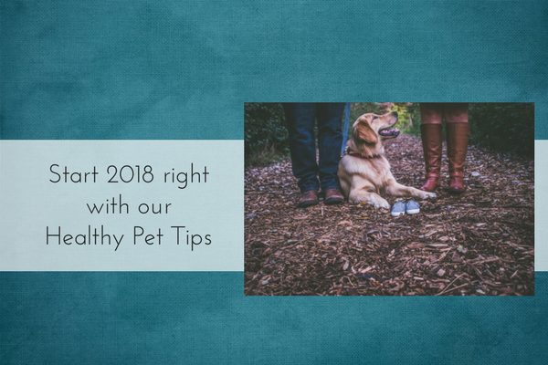 Start 2018 right with our Healthy Pet Tips!