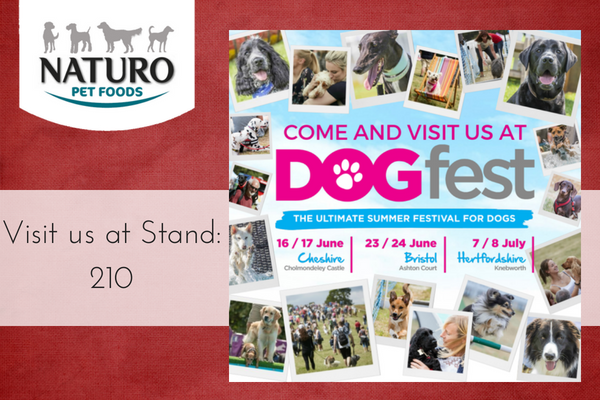 Come and visit us at DogFest this year!