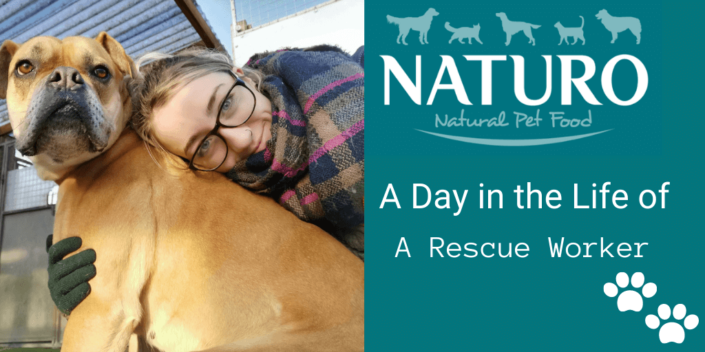 A Day in the Life of... An Animal Welfare Assistant