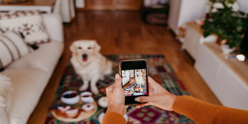 Capturing Moments: A Guide to Snapping Paw-some Photos of Your Pet with Your Mobile Phone