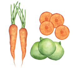 Carrot, Peas